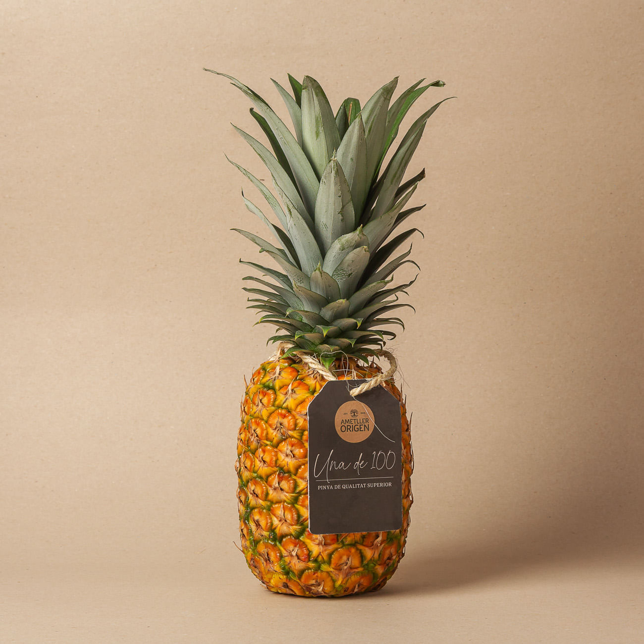 Piña una de 100
