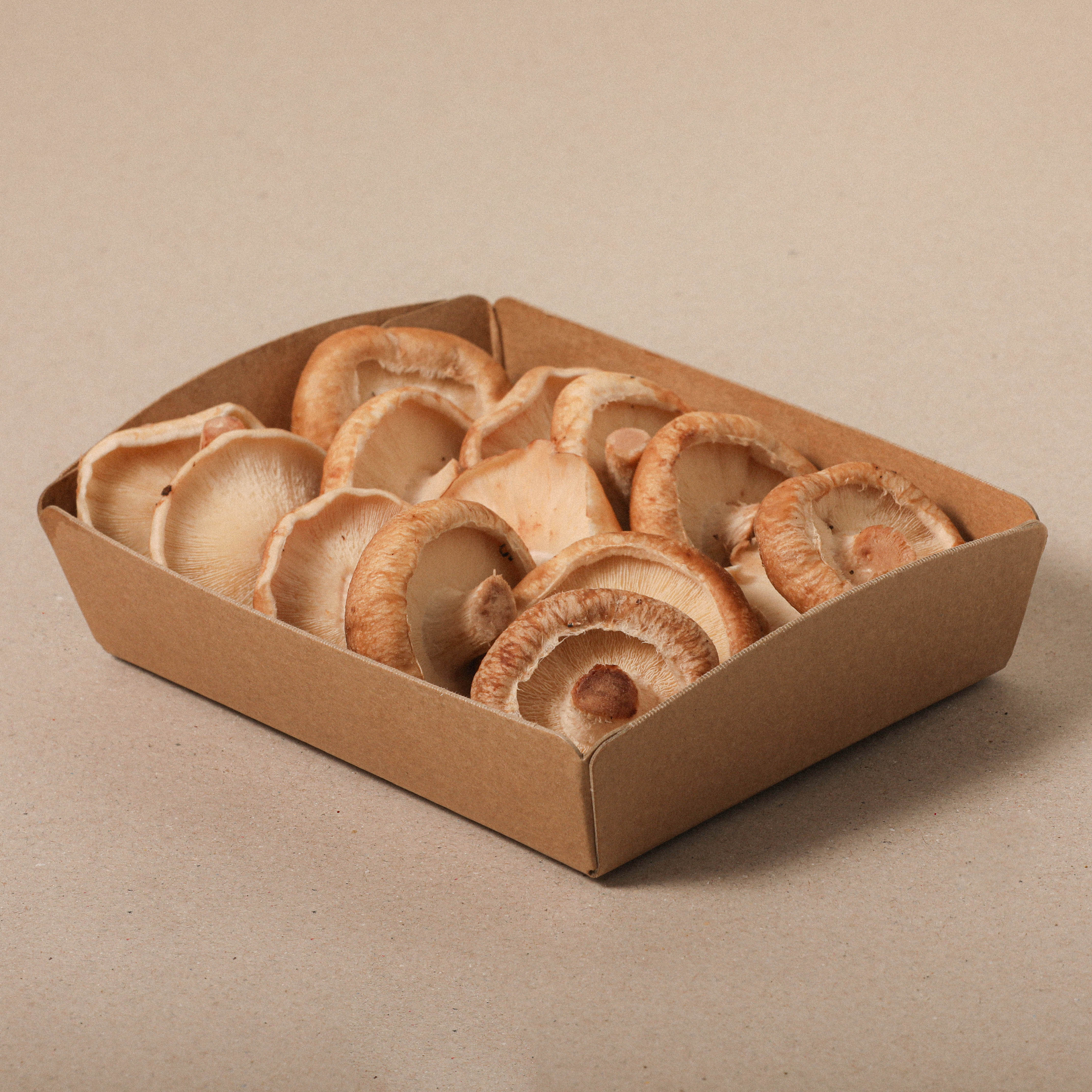 Shiitake extra - bandeja 200g
