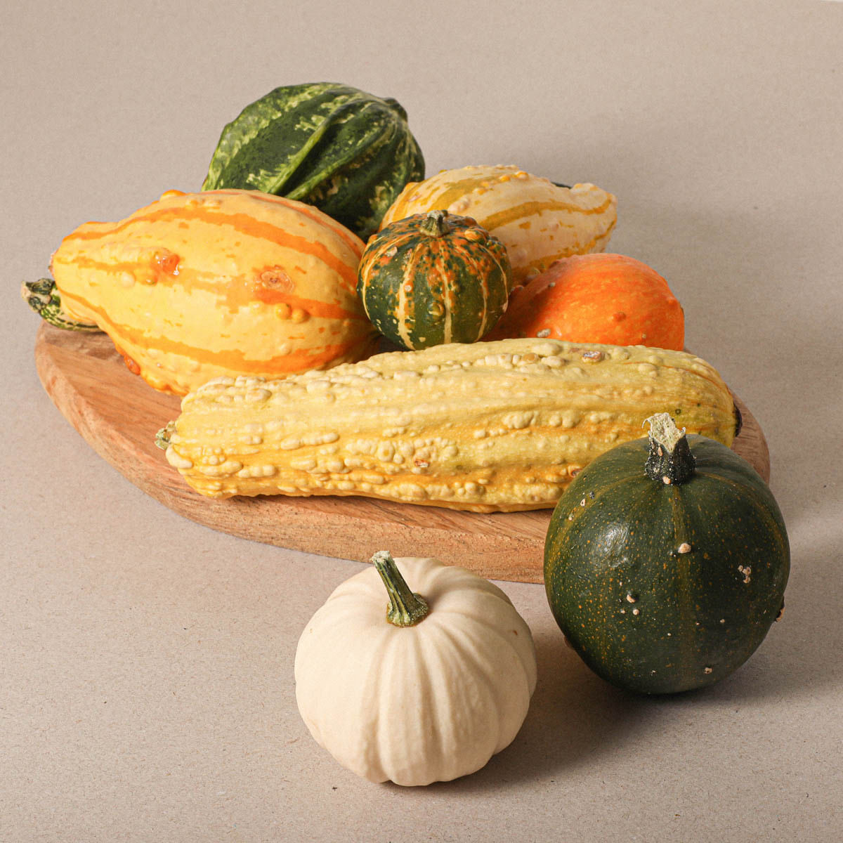 Calabaza para decoración - unidad