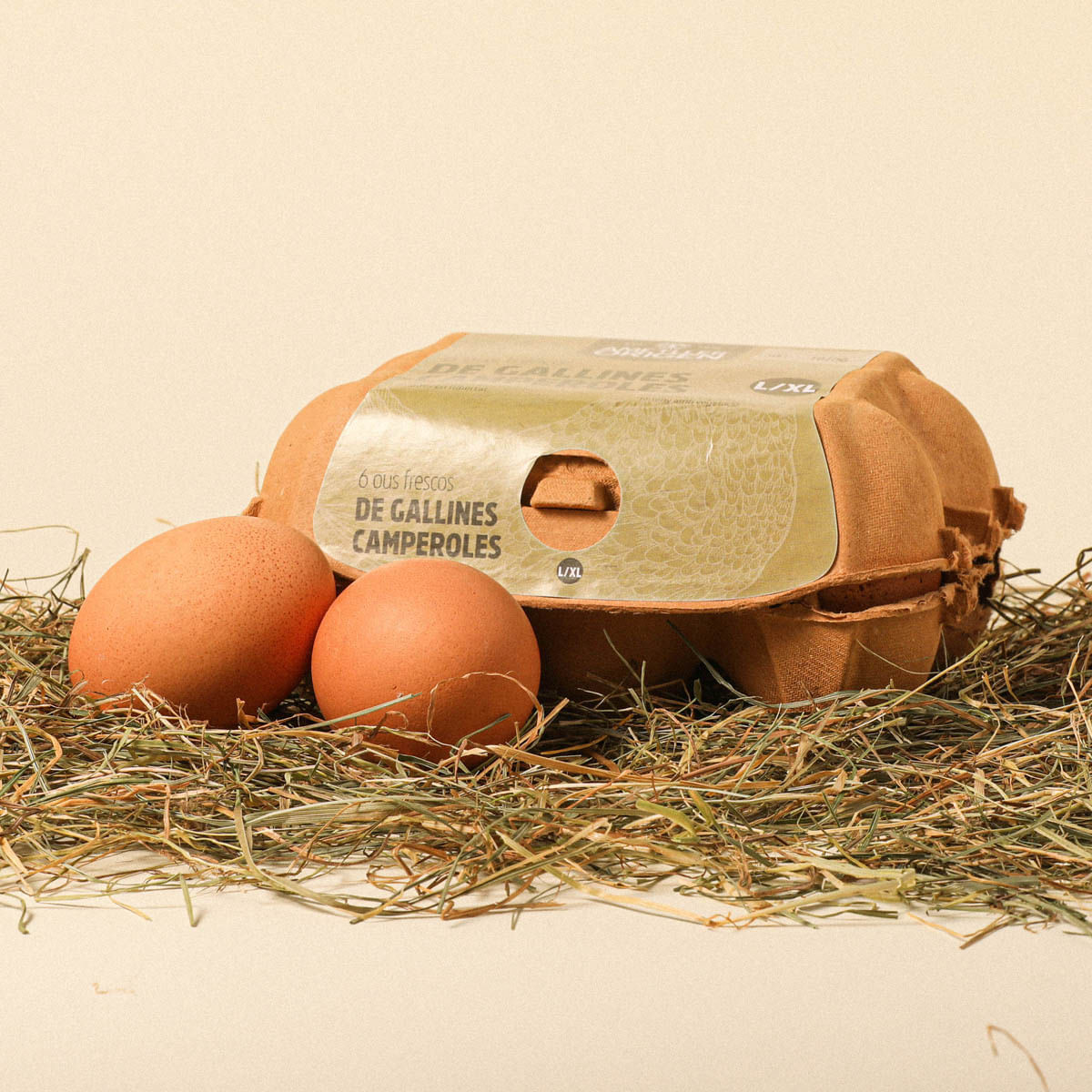 Huevos de gallinas criadas al aire libre L/XL Ametller Origen - 6uds.