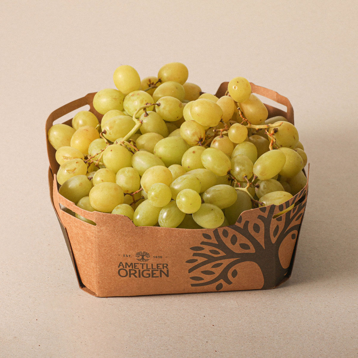 Uva blanca - caja 1kg