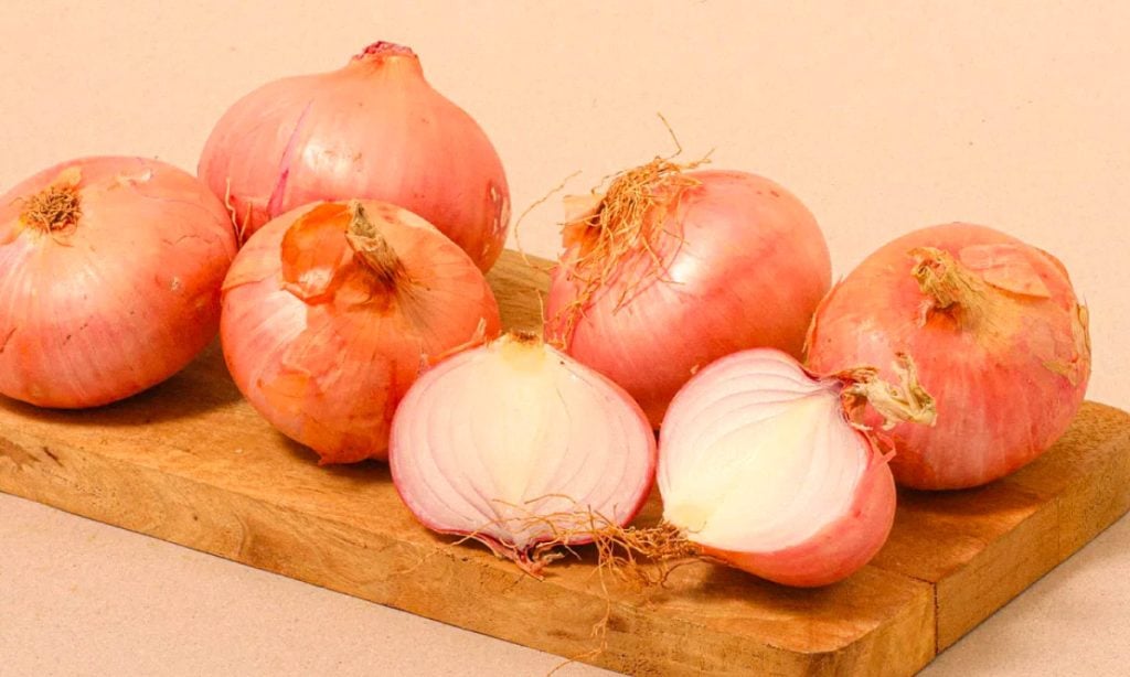 cebolla de figueres